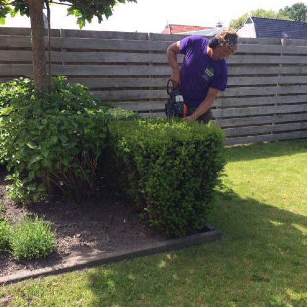 Tuinonderhoud